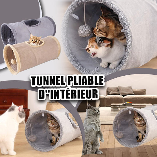 tunnel-pour-chat