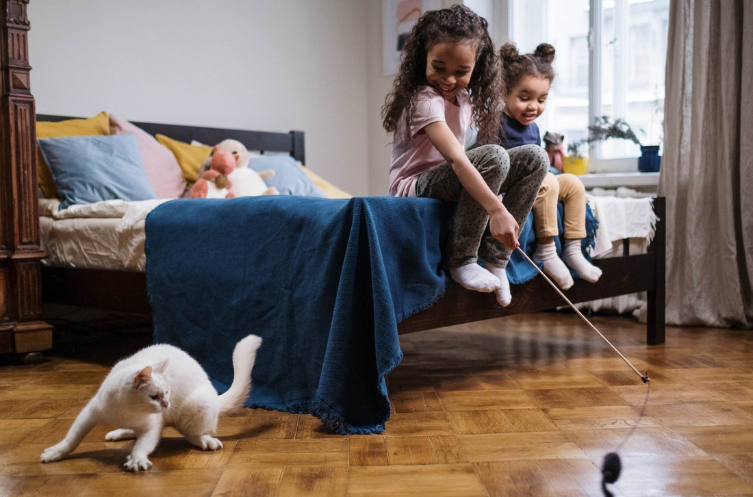 deux filles qui jouent avec un chat