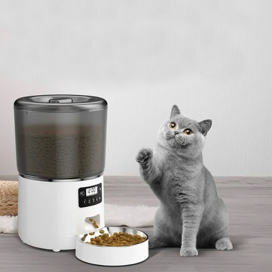 Distributeur automatique de croquettes : est-ce bon pour la santé du chat ?