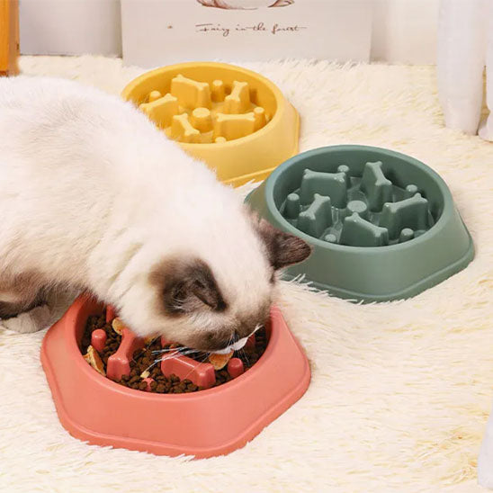 Meilleure gamelle anti-glouton chat : Comparatif 2026