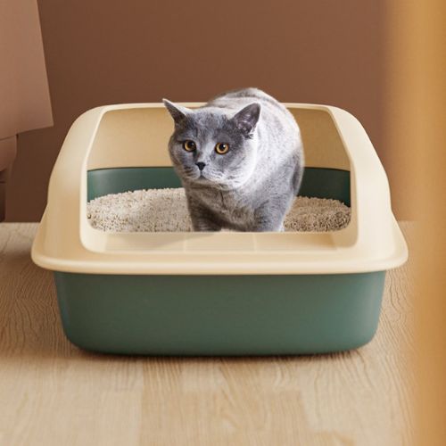 Comment choisir un bac à litière adapté à votre chat ?