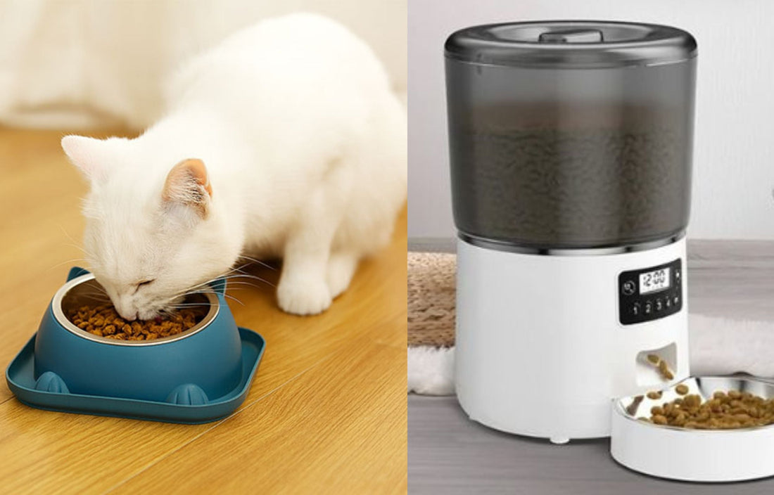 Distributeur automatique vs gamelle classique : quelles différences pour le chat ?