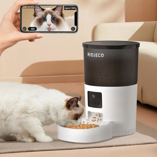 Quel est le meilleur distributeur de croquettes pour chat ? Guide complet 2025