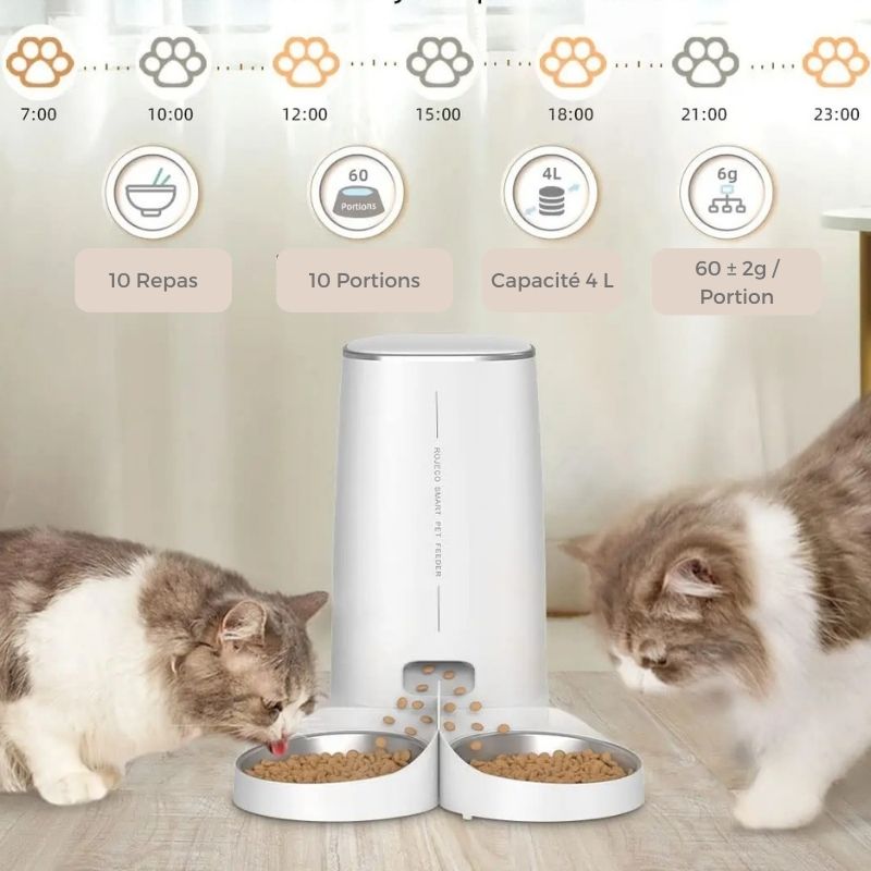 Distributeur automatique de croquettes pour 2 chats ou foyer multi-chats : comment choisir ?