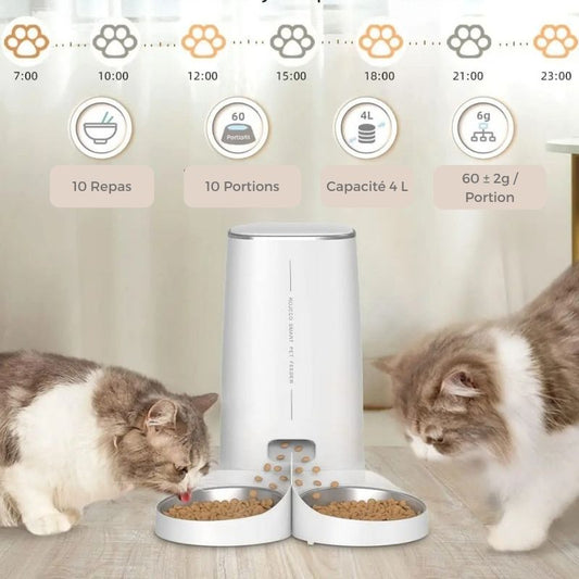 Distributeur automatique de croquettes pour 2 chats ou foyer multi-chats : comment choisir ?