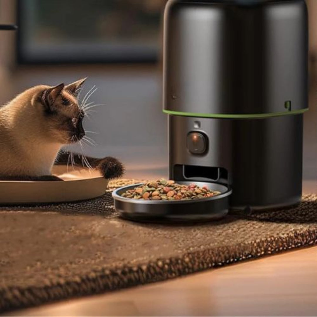 Quels sont les meilleurs distributeurs de croquettes pour chat connectés ? Guide complet 2026