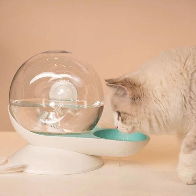 Quelle est la meilleure fontaine à eau chat sans électricité ?