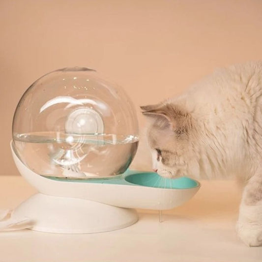 Quelle est la meilleure fontaine à eau chat sans électricité ?