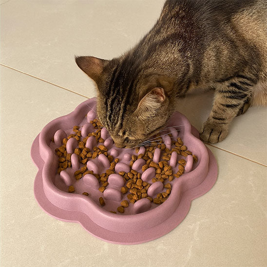 Comment choisir une gamelle anti-glouton pour son chat ?