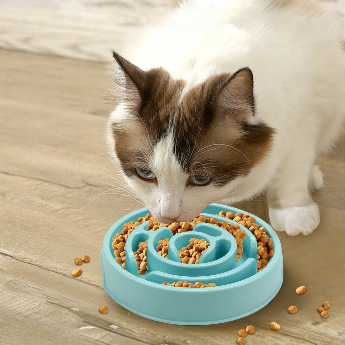 Comment fonctionne une gamelle anti-glouton pour chat