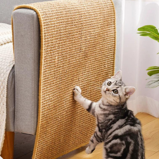 Quand et pourquoi faut-il remplacer le griffoir de son chat ?