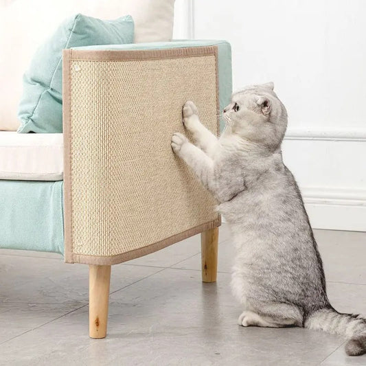 Pourquoi votre chat griffe-t-il le canapé ? Causes et solutions