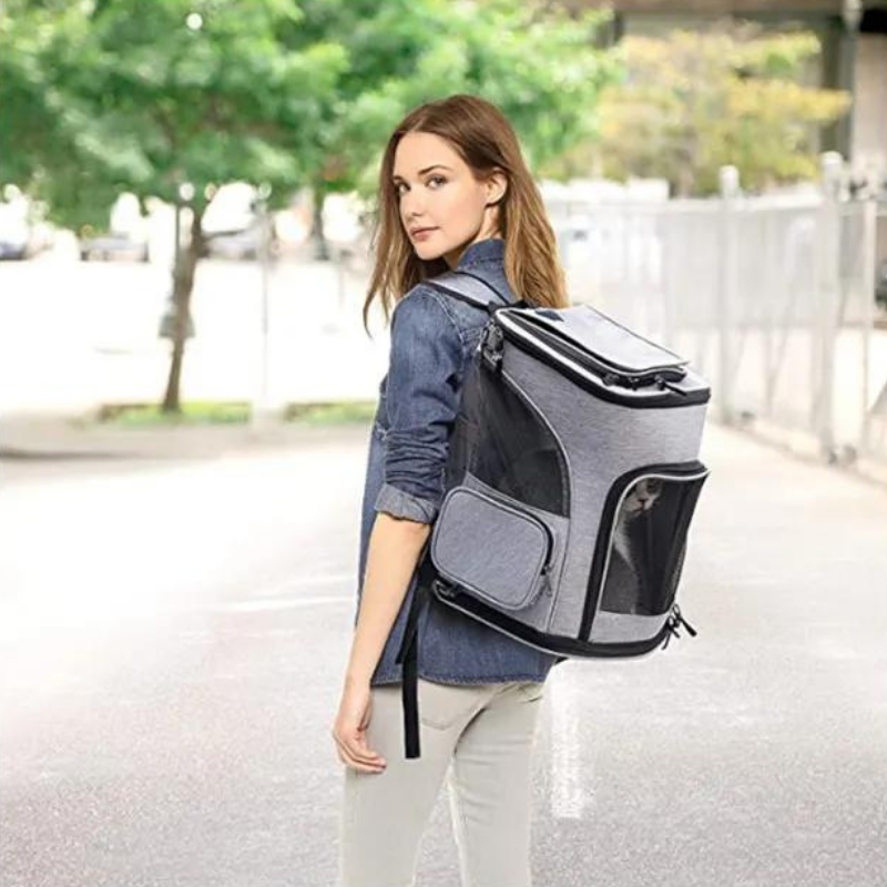 Comment choisir un sac de transport pour chat : le guide 2026