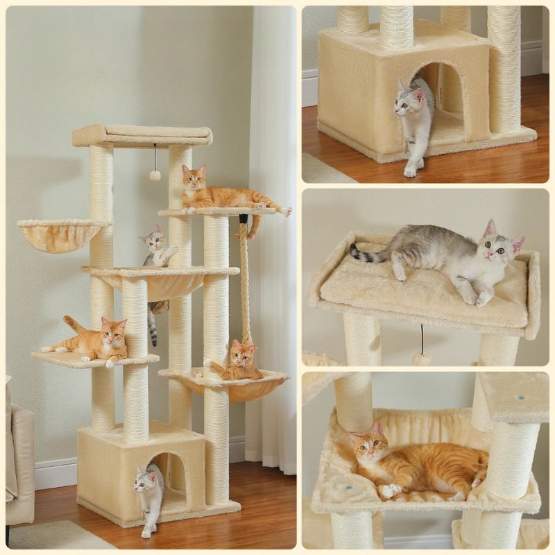 Arbre à Chat | Multi-niveaux et Robuste