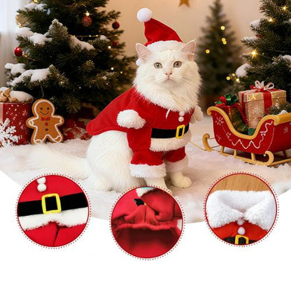 Costume pour chat Père Noël