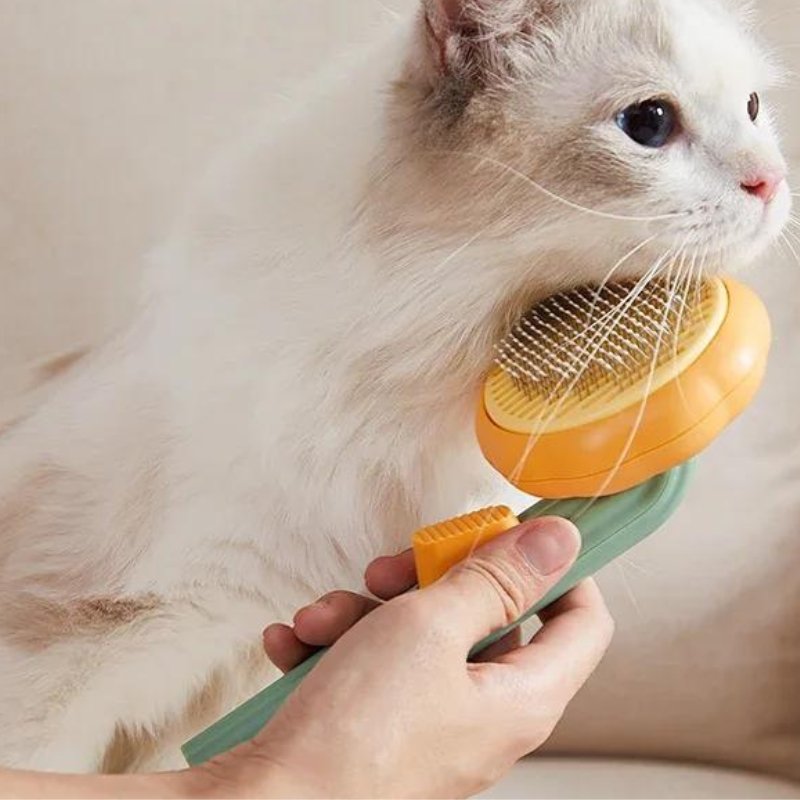 Brosse pour chat - Self Cleaning Cat Brush™