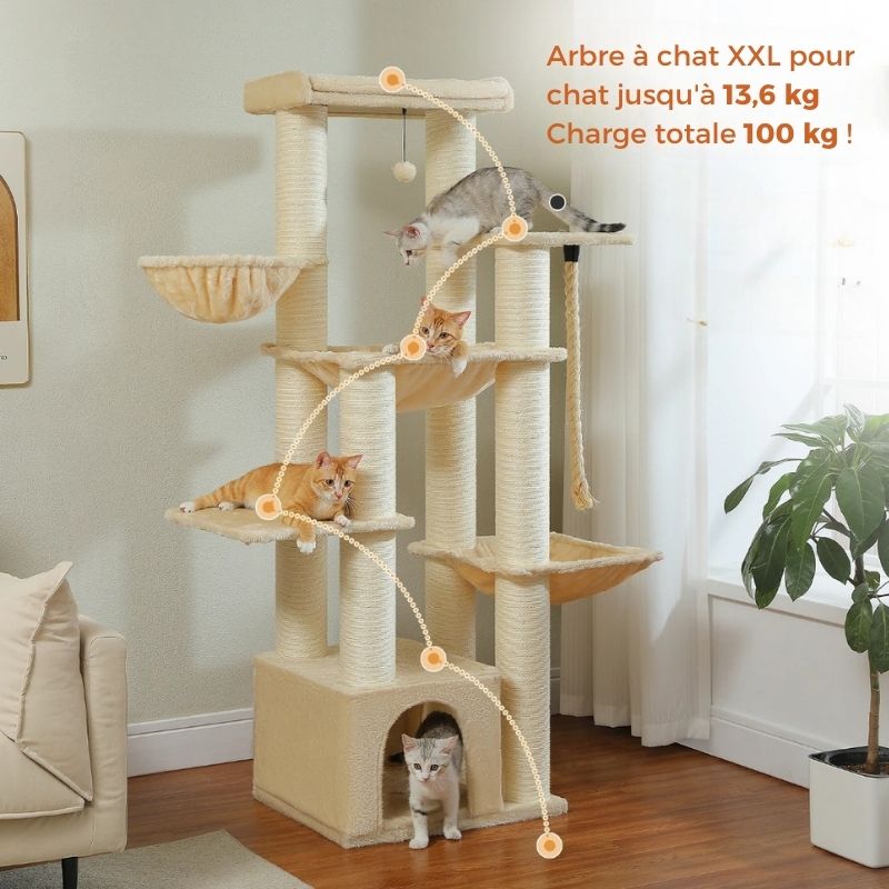 Arbre à Chat | Multi-niveaux et Robuste
