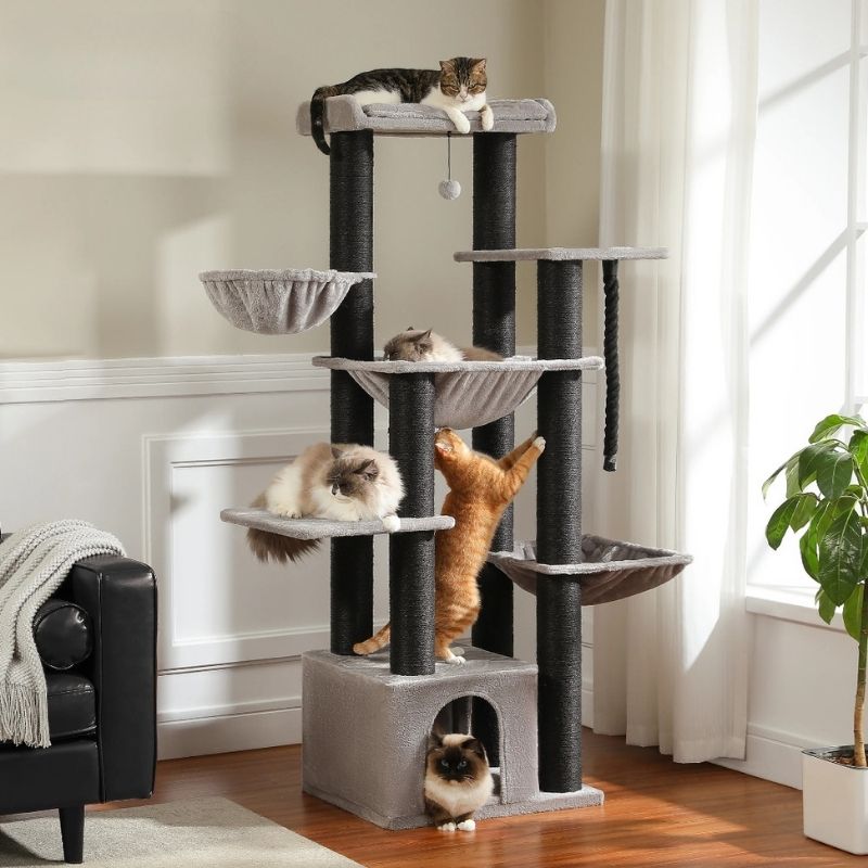 Arbre à Chat | Multi-niveaux et Robuste