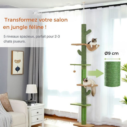 Arbre à chat - Tour cactus 230 cm