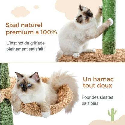 Arbre à chat - Tour cactus 230 cm