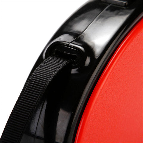 Laisse pour chat rétractable