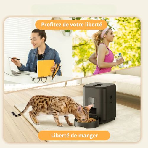 Distributeur de croquettes pour chat automatique - Smart Feed