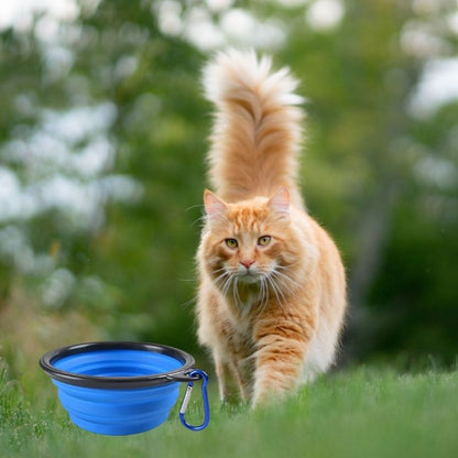 Gamelle chat - Portable pour sorties et voyages