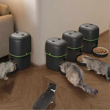Distributeur de croquettes pour chat automatique - Avec Caméra Smart Connect