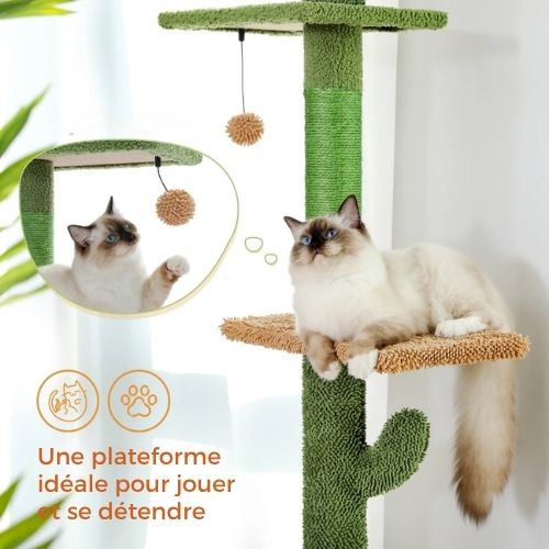Arbre à chat - Tour cactus 230 cm