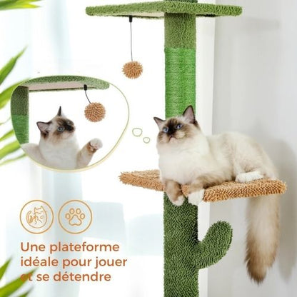 Arbre à chat - Tour cactus 230 cm