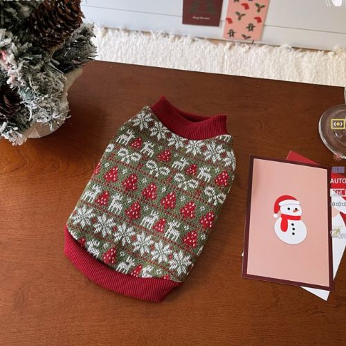Pull de Noël pour chat