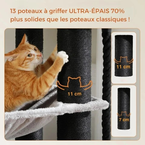 Arbre à Chat | Multi-niveaux et Robuste