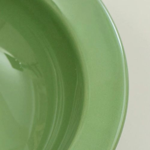 Vue rapprochée de l’intérieur d’une gamelle chat en céramque verte, montrant sa surface lisse et facile à nettoyer.