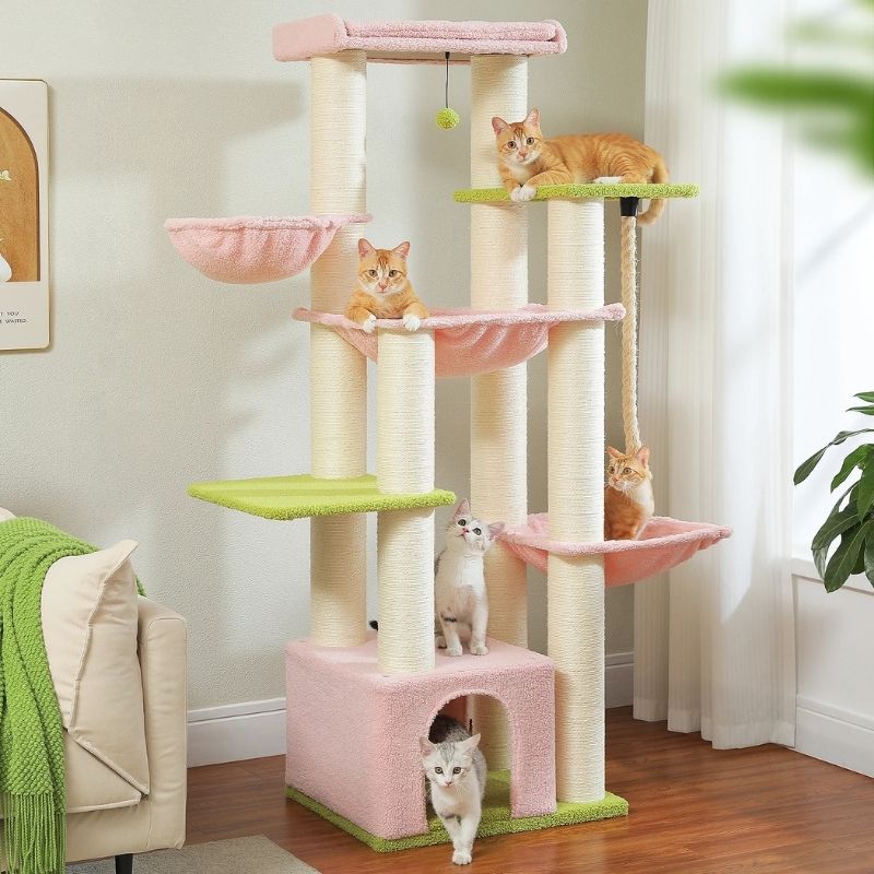 Arbre à chat pour Maine Coon ou plusieurs chats- 170 cm