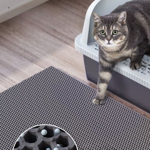 Bac à litière chat XXL - En Acier Inoxydable, avec tapis et pelle
