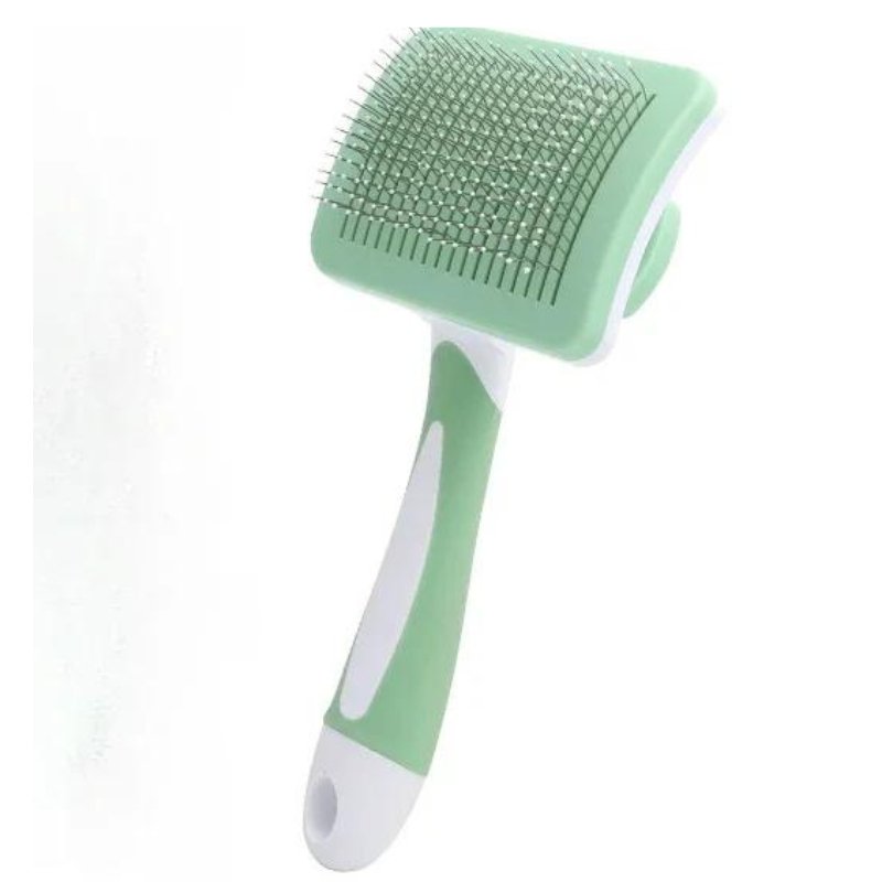 Une brosse pour verte