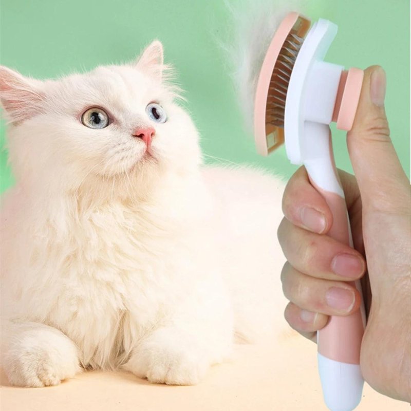 Un chat qui regarde une brosse pour chat