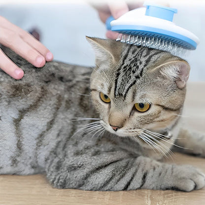 Brosse pour chat - Autonettoyante
