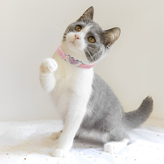 Collier chat - Avec coeur en strass