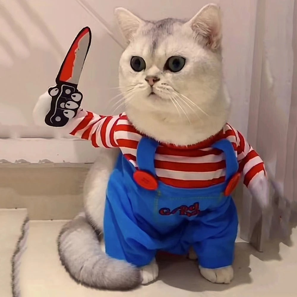 Déguisement pour Chat - Halloween