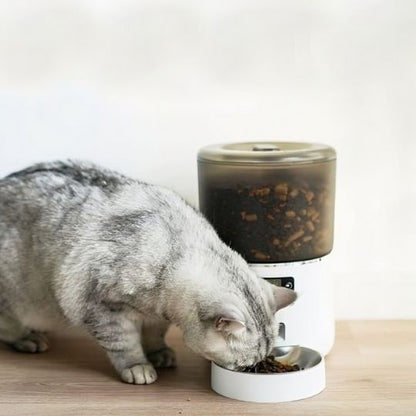Distributeur automatique de croquettes pour chat - FreshFeed Pro