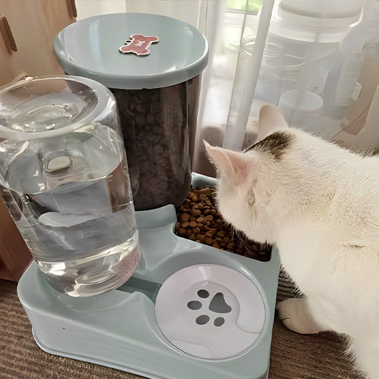 Distributeur-eau-et-croquette-chat