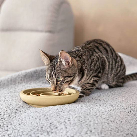 Gamelle Anti-Glouton Chaton | En céramique