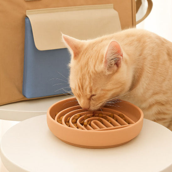Gamelle anti-glouton chat en silicone  : pour chat gourmond, design spiralé, silicone stable.