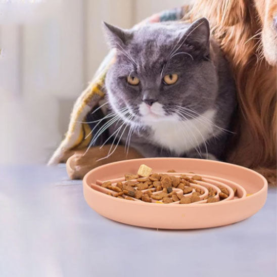 Gamelle anti-glouton chat en silicone  pour chat gourmet, remplis croquettes, digestion améliorée.