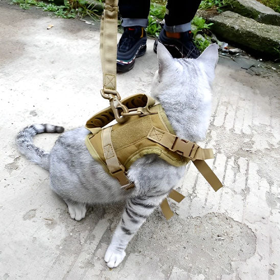 Harnais pour chat | ExploSécure