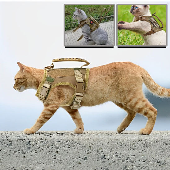 Harnais pour chat | ExploSécure