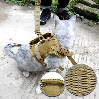 Harnais pour chat | ExploSécure