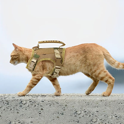 Harnais pour chat | ExploSécure