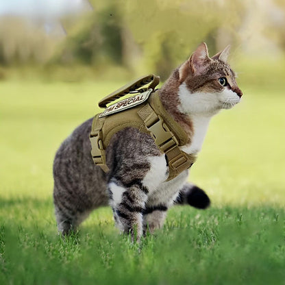 Harnais pour chat | ExploSécure